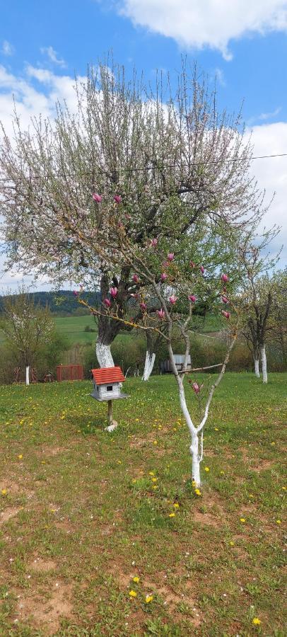 Guesthouse Miha Rakovica Kültér fotó